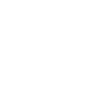 logo white transparent